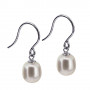 Pearl ear SIC85 599,00 kr Colling Jewellery