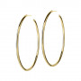 Hoops Earrings Gold large Edblad smycken 105866 399,00 kr Hem